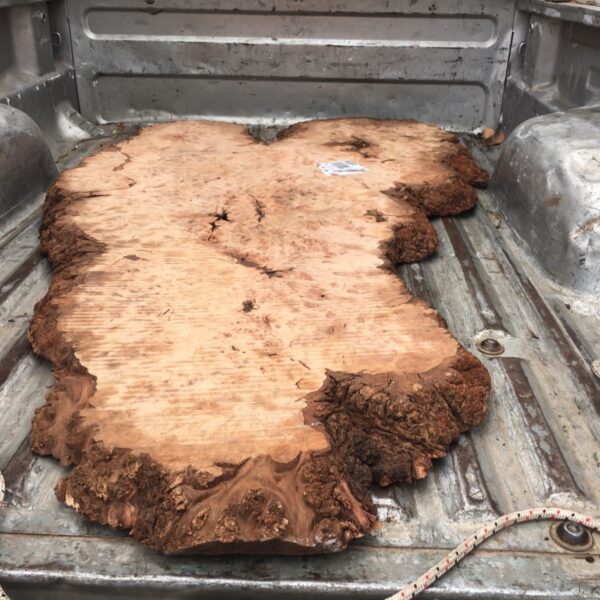 Burl