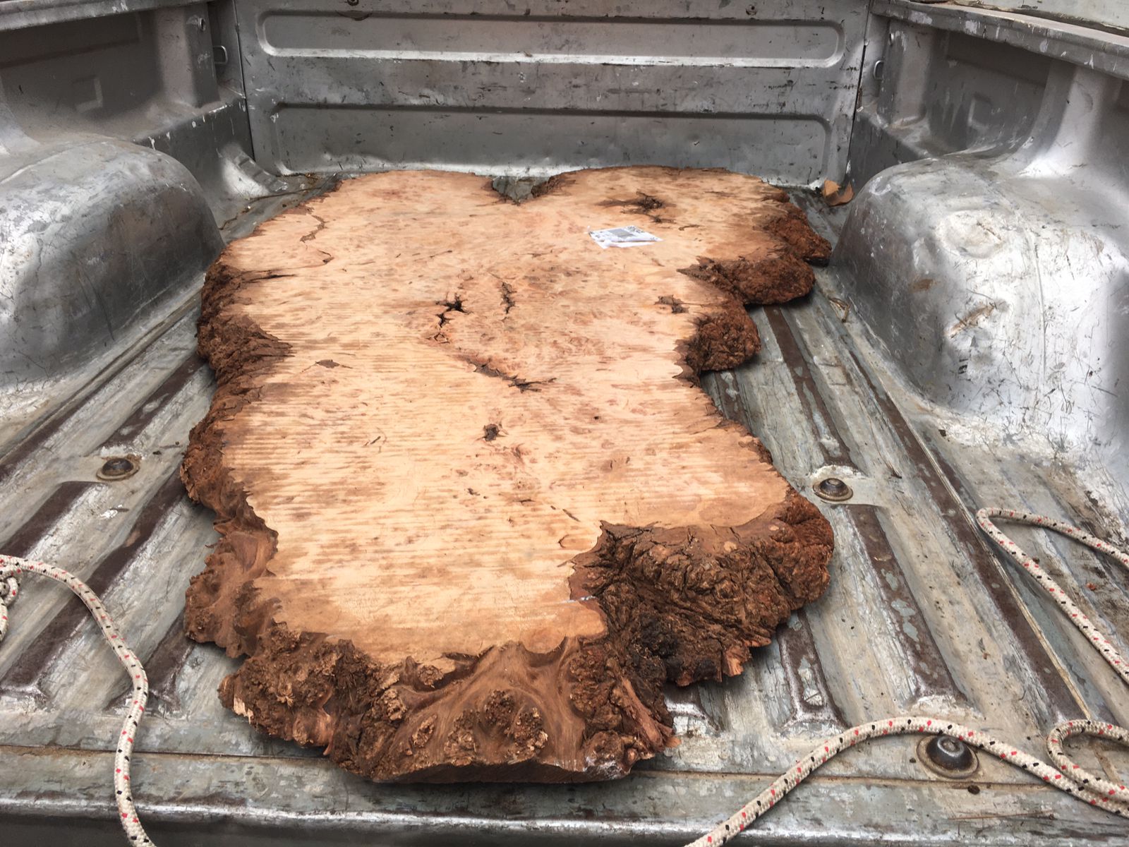 Burl